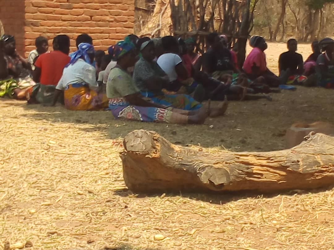 TIVWANE MONEY SOLUTION  GIVING OUT  IRREGATION EQUIPMENT ( ASSET LOANS) TO SMALL SCALE FARMERS