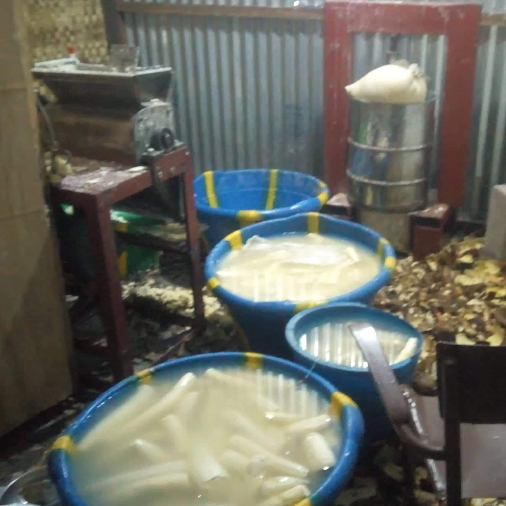 Transformation de manioc en gari