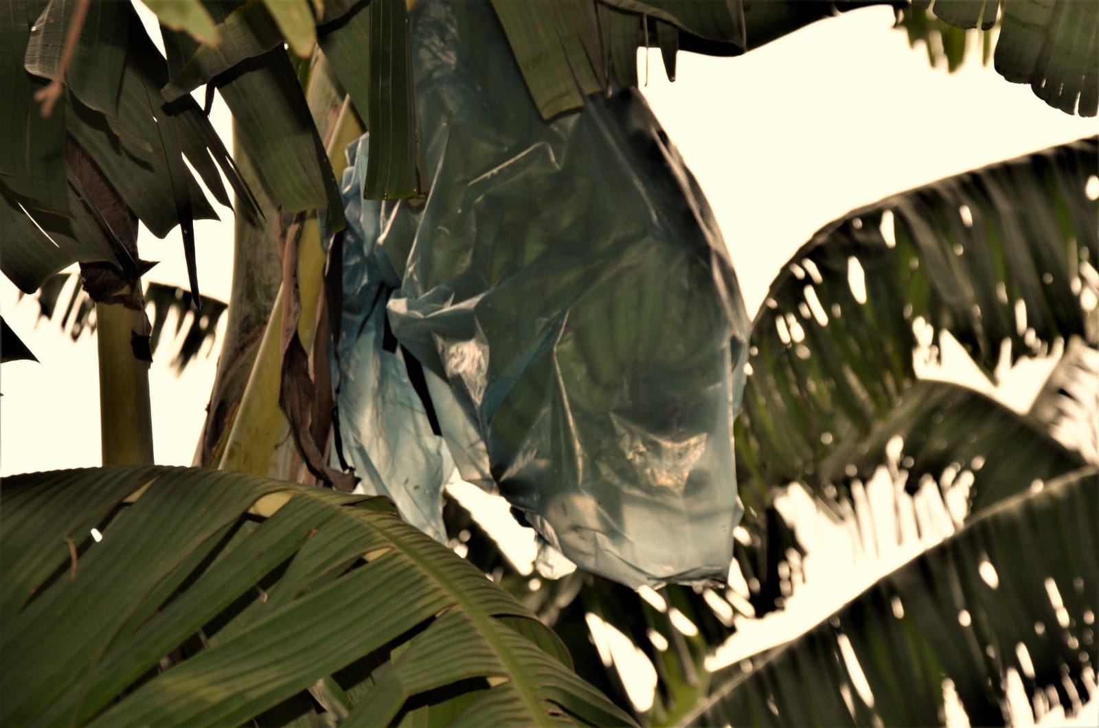 Photos of activities in Rwanda