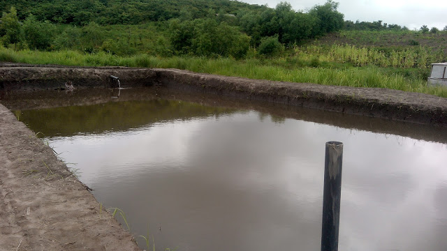 In the Democratic Republic of Congo we have 5 hectare of land in the city pronvince of Kinshasa