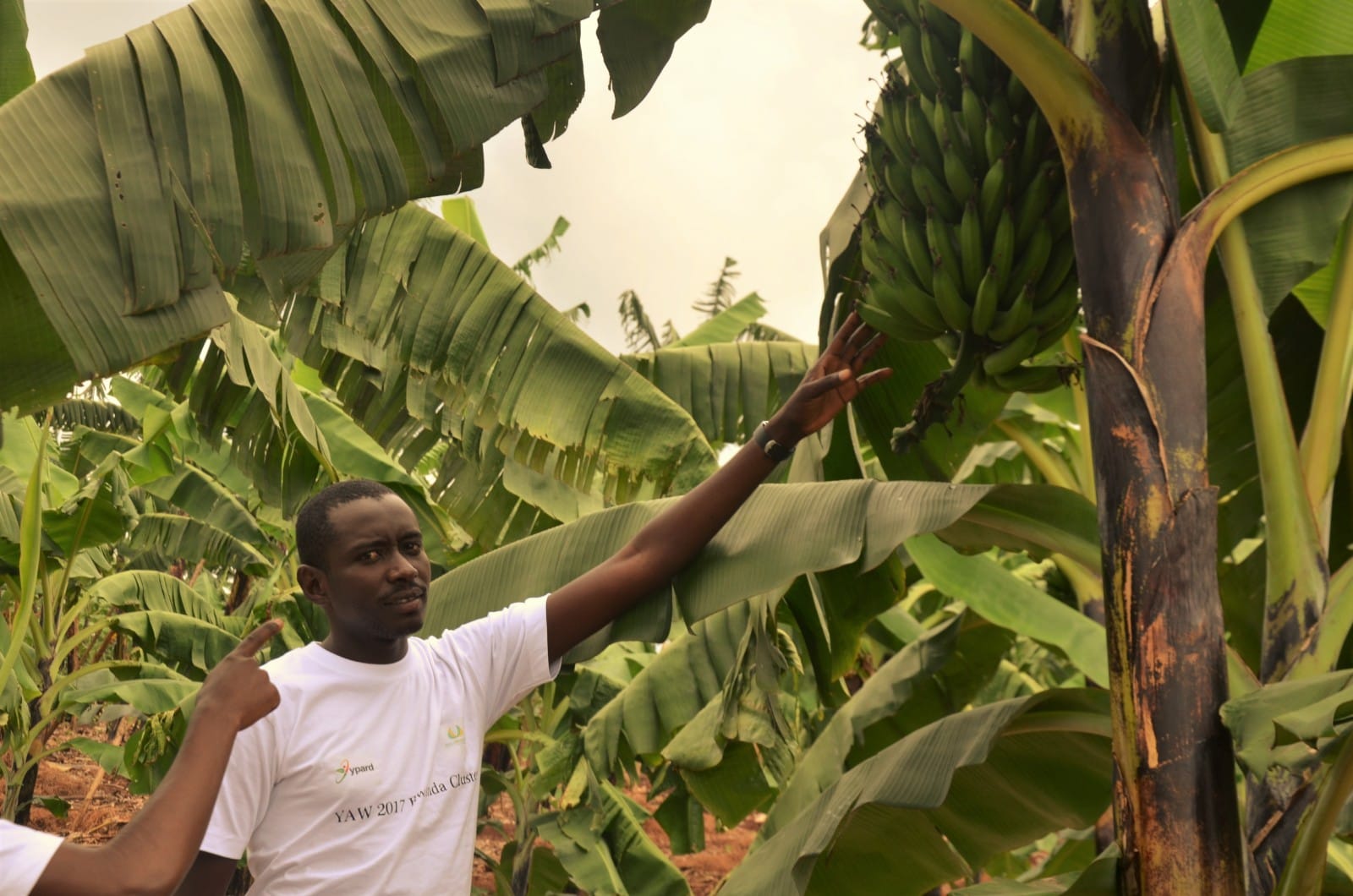 Photos of activities in Rwanda