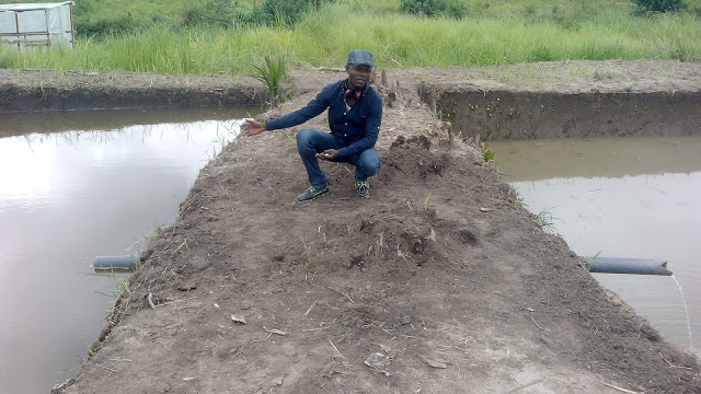 In the Democratic Republic of Congo we have 5 hectare of land in the city pronvince of Kinshasa