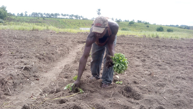 In the Democratic Republic of Congo we have 5 hectare of land in the city pronvince of Kinshasa