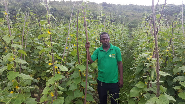 In the Democratic Republic of Congo we have 5 hectare of land in the city pronvince of Kinshasa