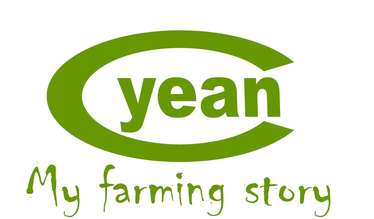 YEAN (Youth Engagement in Agriculture Network)